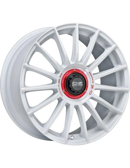 Pack OZ Superturismo WRC + Yokohama + Aleron Maxton design